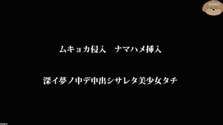 日本美少女睡奸 漂亮有氣質 翹臀身材好 抱起來各種姿勢操內射