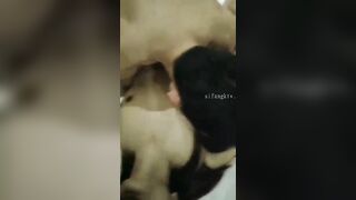 發情期小少婦日常淫亂 - 10