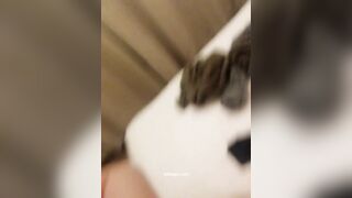 漂亮美眉和男友家中做愛 真實 對白有趣