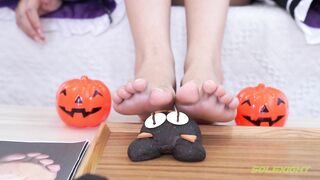 台灣SOLEXIGHT NO.030 Neko-Socks（COS蕾姆、白絲、美足、踩物）